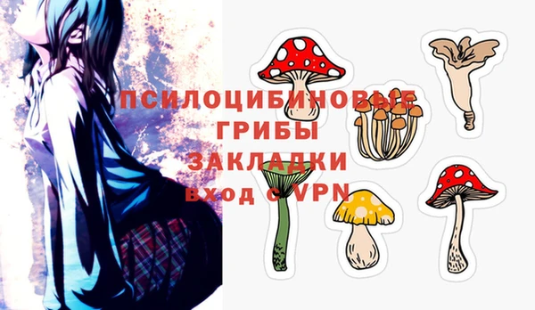 кокс Арсеньев