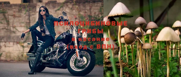 кокс Арсеньев