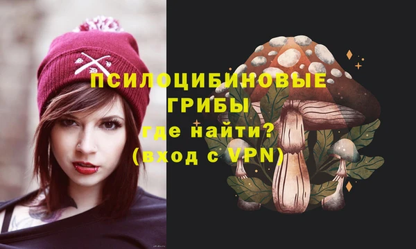 кокс Арсеньев