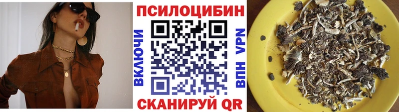 Псилоцибиновые грибы GOLDEN TEACHER  блэк спрут tor  Уржум 